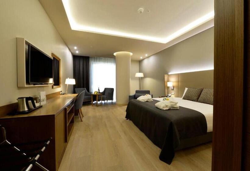 اتاق استاندارد با تخت بزرگ, Holiday Inn Bursa   City Centre, An Ihg