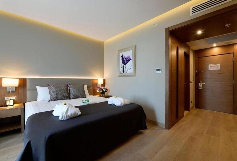 اتاق استاندارد برای معلولان, Holiday Inn Bursa   City Centre, An Ihg