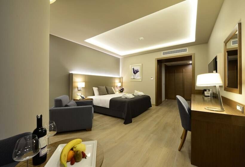 Premium Room City View, Holiday Inn Bursa   City Centre, An Ihg