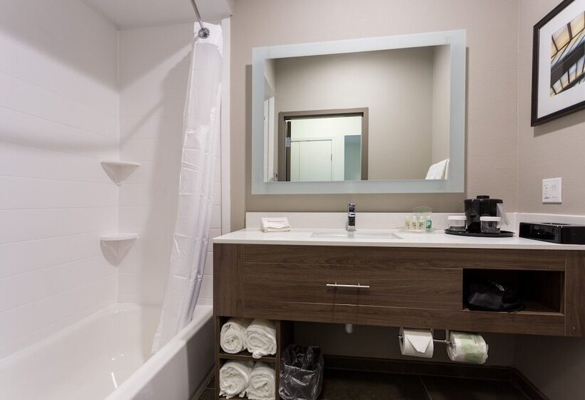 스탠다드 룸, Holiday Inn San Marcos Convention Center, An Ihg
