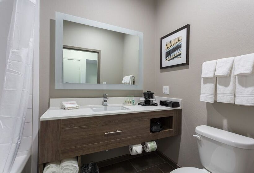 스탠다드 룸 더블 침대 2개, Holiday Inn San Marcos Convention Center, An Ihg