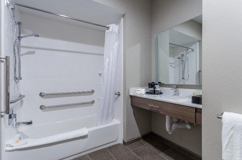 스탠다드 룸 킹사이즈 침대, Holiday Inn San Marcos Convention Center, An Ihg