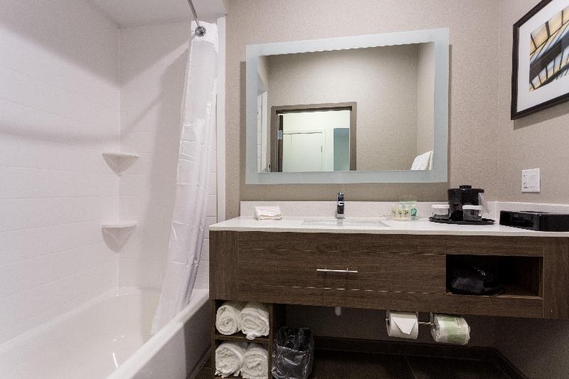 장애인을 위한 스탠다드 룸, Holiday Inn San Marcos Convention Center, An Ihg