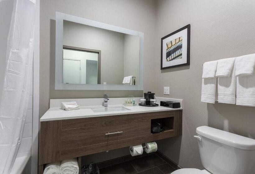 스탠다드 룸 킹사이즈 침대, Holiday Inn San Marcos Convention Center, An Ihg