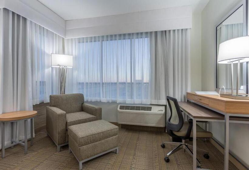 스탠다드 룸 킹사이즈 침대, Holiday Inn San Marcos Convention Center, An Ihg