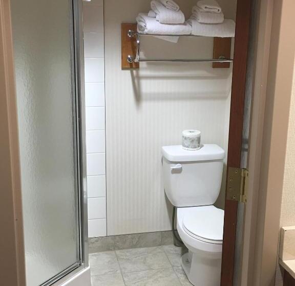 Номер Executive, St. Albert Inn & Suites