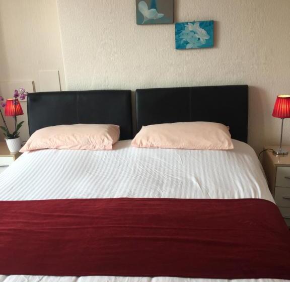 标准间, Adelphi Guest House