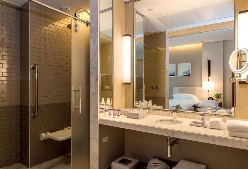 اتاق استاندارد با تخت بزرگ برای معلولان, Grand Hyatt Rio De Janeiro