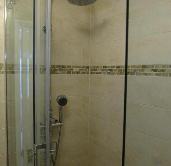 Номер Superior, Black Swan Guest House