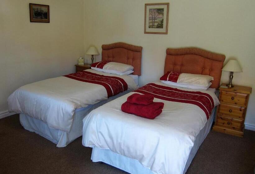 Номер Superior, Black Swan Guest House