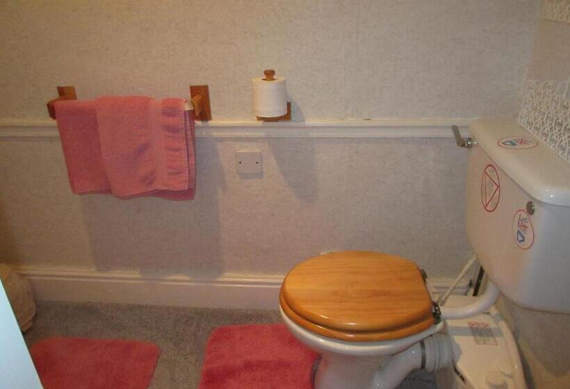 Номер Стандарт Трехместный, Ty Newydd Guest House