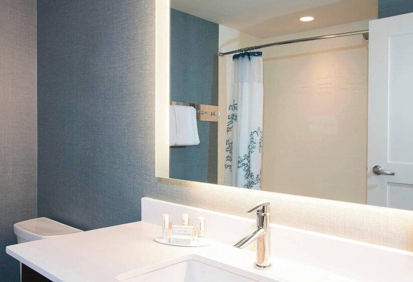 带双人床的标准工作室, Residence Inn By Marriott Ann Arbor Downtown