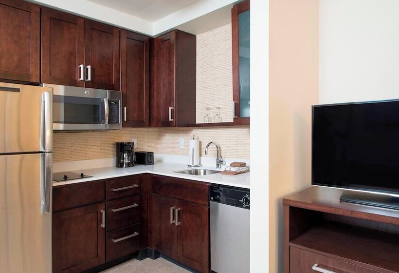带2个卧室的套房, Residence Inn By Marriott Ann Arbor Downtown