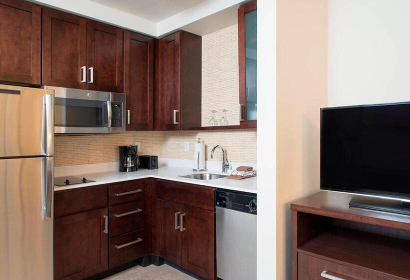 带大床的套房, Residence Inn By Marriott Ann Arbor Downtown