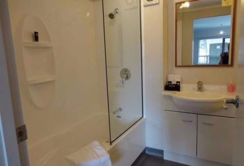 스탠다드 스튜디오, Asure Abode On Courtenay Motor Inn