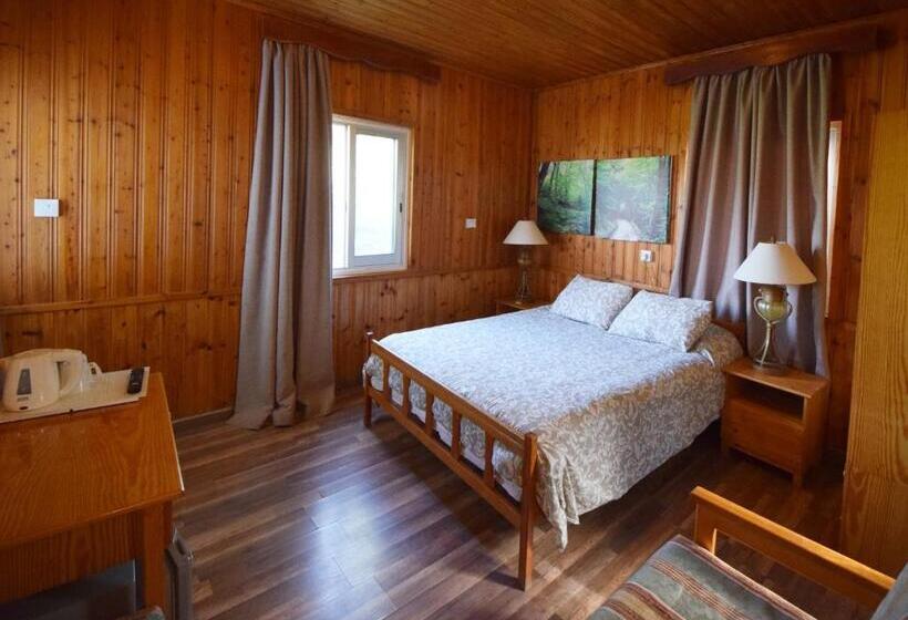 Номер Стандарт, Christys Palace