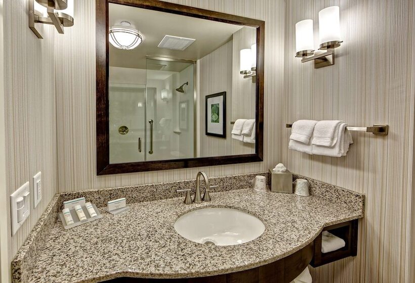 اتاق استاندارد با تخت بزرگ, Hilton Garden Inn Nashville Downtown/convention Center