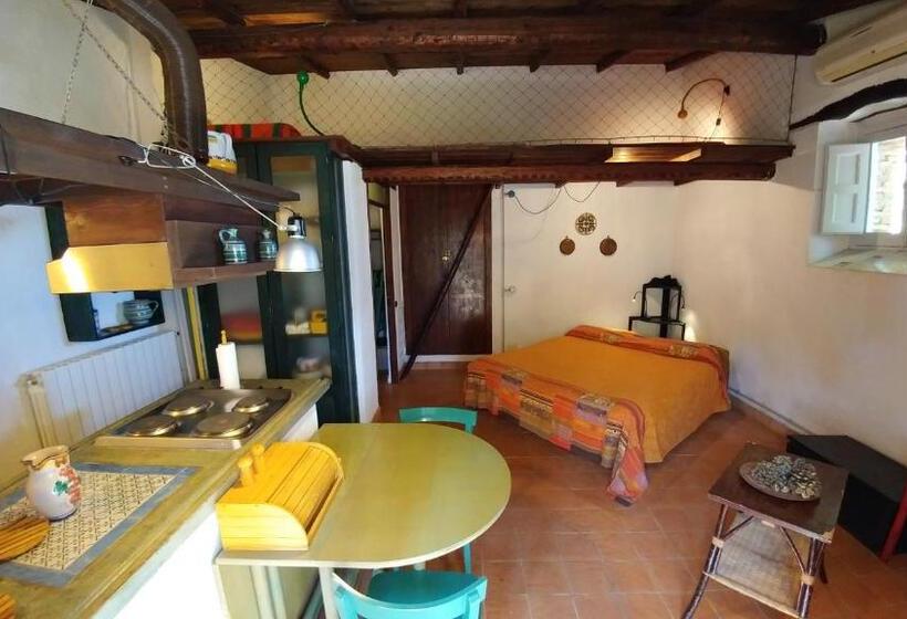 استودیوی استاندارد, Casa Migliaca
