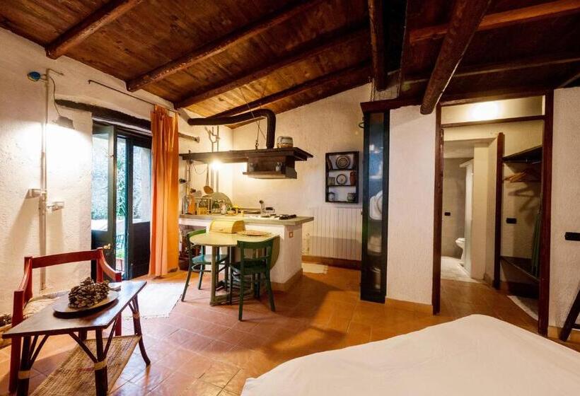 استودیوی استاندارد, Casa Migliaca