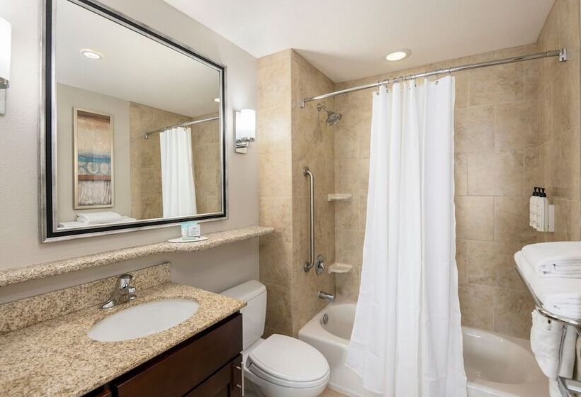 Студия Стандарт, Towneplace Suites By Marriott Abilene Northeast