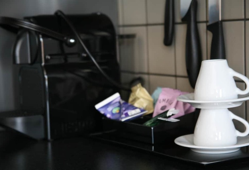 高级大房间, Best Western Plus Hotell Nordic Lund