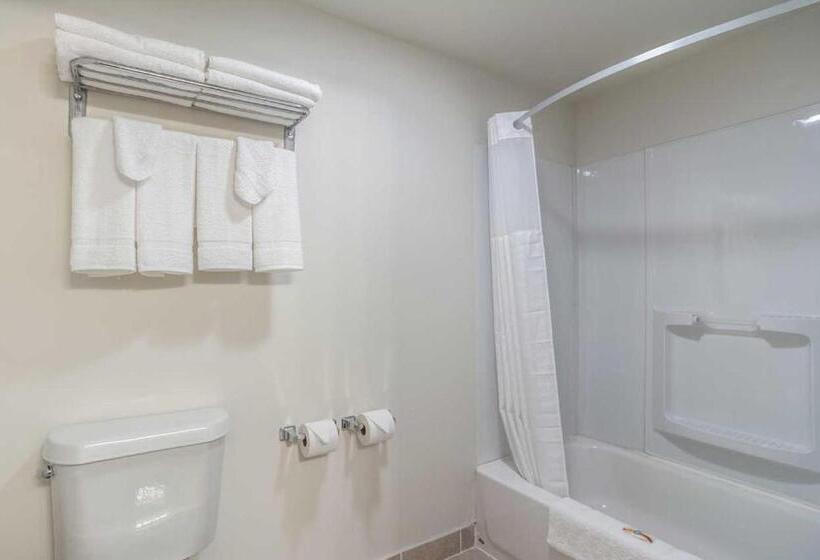 Стандартный Номер Кровать Кинг, Days Inn By Wyndham Hartsfield Jackson Atlanta Airport West