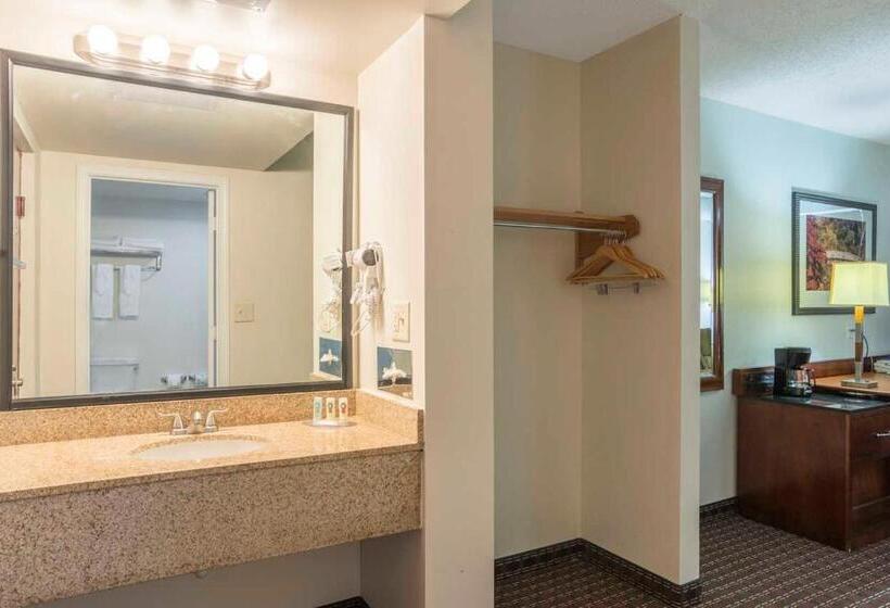 Люкс Deluxe Кровать Кинг, Days Inn By Wyndham Hartsfield Jackson Atlanta Airport West