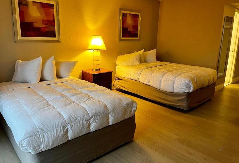 Номер Deluxe Одноместный, Miami Suites