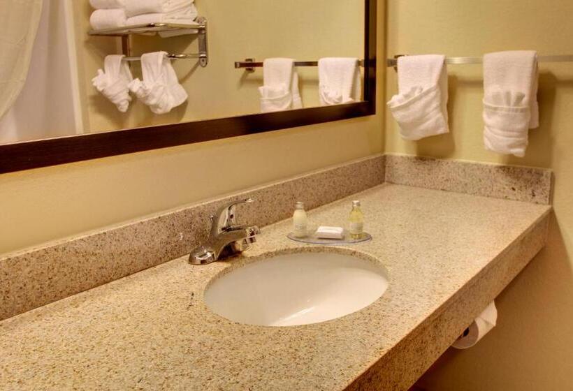 Номер Deluxe Кровать Кинг, Cobblestone Hotel & Suites   Charlestown