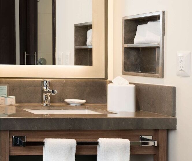 ２ダブルベッドのスタンダードルーム, Hampton Inn By Hilton Leon Guanajuato