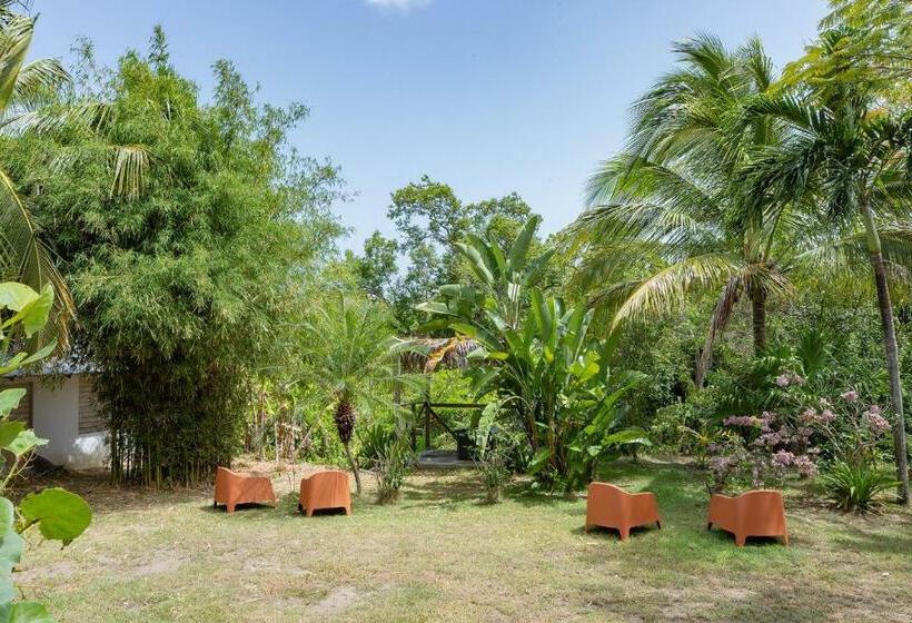 اتاق لوکس, Vieques Tropical Guest House