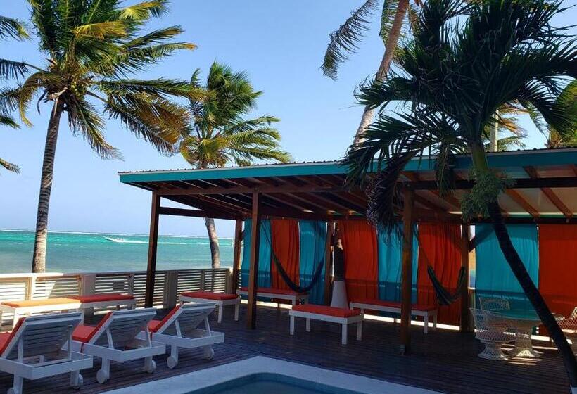 اتاق استاندارد با تخت بزرگ, Ocean Tide Beach Resort