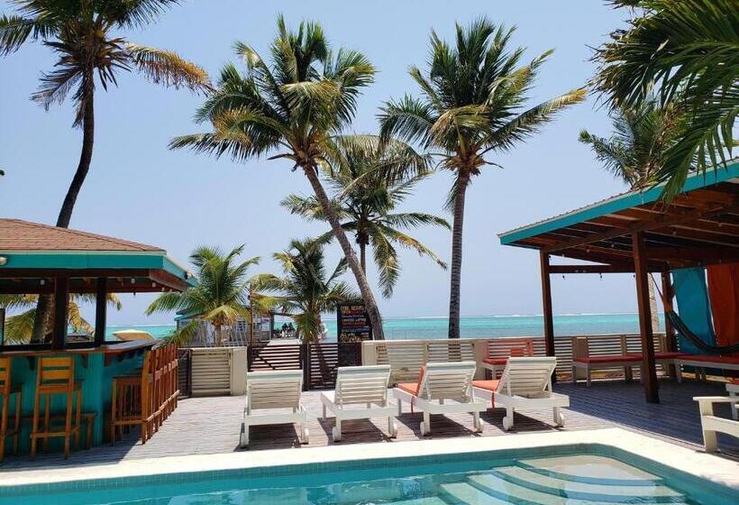 اتاق استاندارد, Ocean Tide Beach Resort
