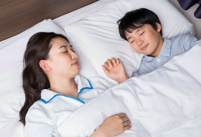 Номер Стандарт, Comfort Hotel Hamamatsu