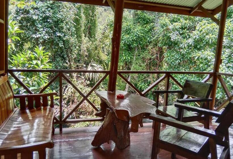带花园景观的标准洋房, Tree Tops River Huts