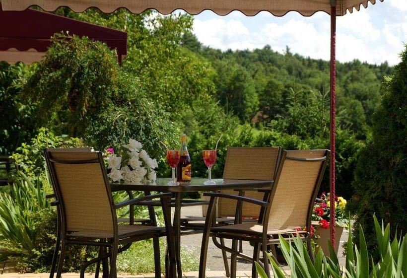 Номер Стандарт Вид на Горы, Motel Le Jolibourg
