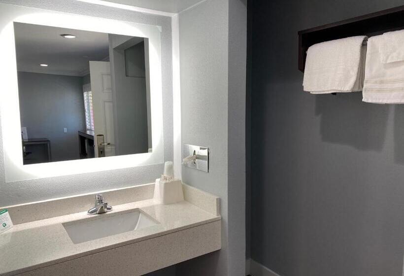 Стандартный Номер Кровать Кинг, Regency Motel
