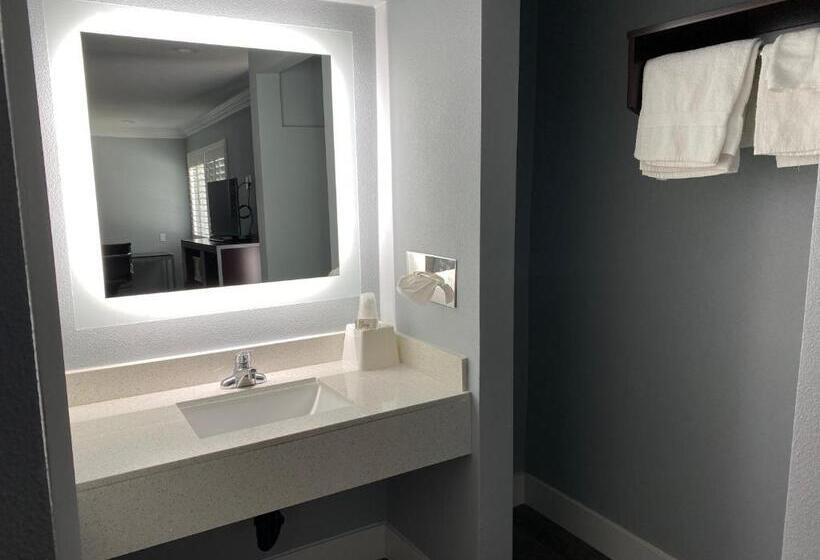 Номер Deluxe Одноместный, Regency Motel