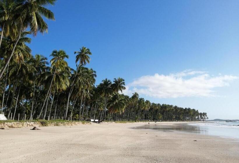 Бунгало Стандарт, Carneiros Paradiso