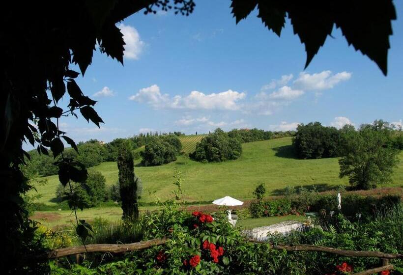 إستوديو قياسى, Podere Casanuova