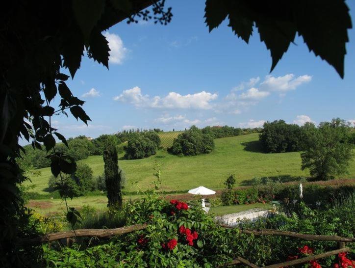 إستوديو قياسى, Podere Casanuova