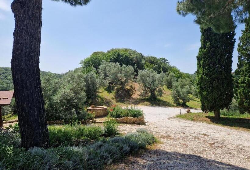 Апартаменты 1 Спальня с Террасой, Agriturismo Ai Massi