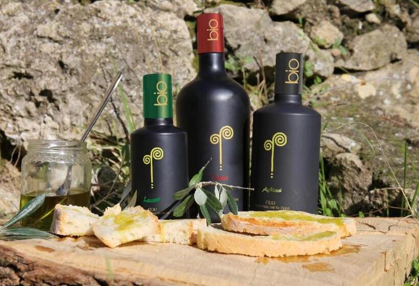 带1个卧室的带海景的公寓, Agriturismo Ai Massi