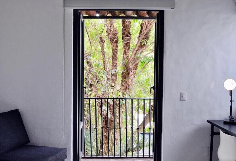 اتاق استاندارد پلاس, Las Casas B&b Boutique Hotel, Spa & Restaurante Cuernavaca