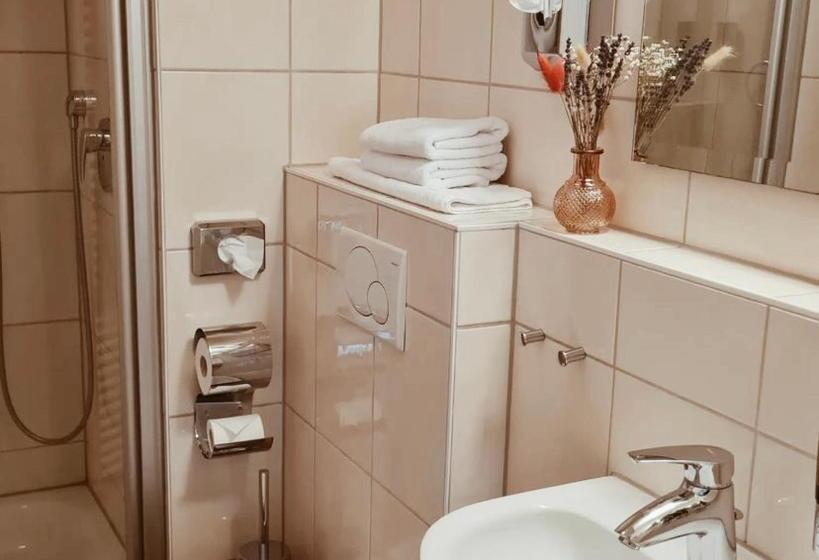 Номер Стандарт, Familienresort Wiesenhof