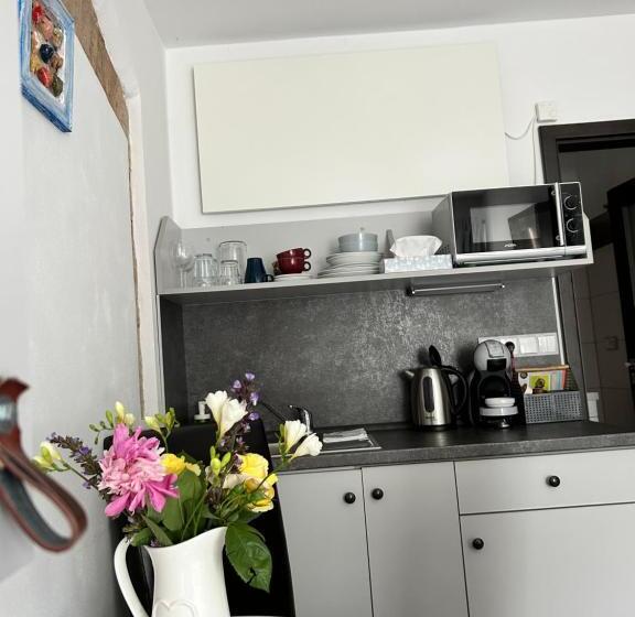 Апартаменты 1 Спальня, Apartmány U Kuželky