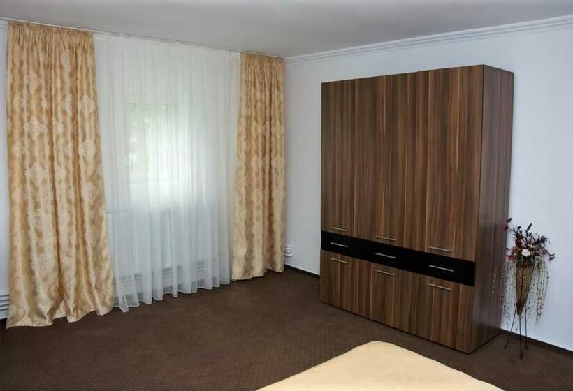 스탠다드 룸 킹사이즈 침대, Motel Potcoava De Aur