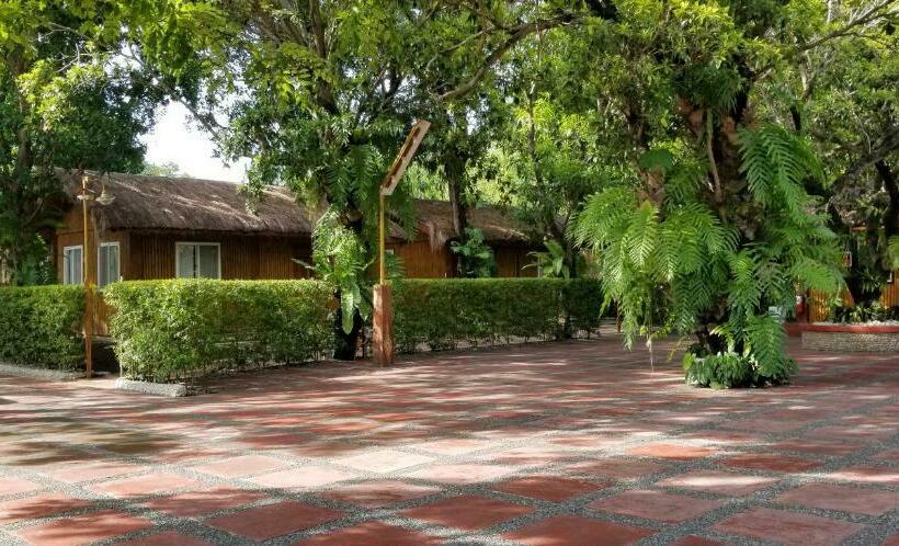 اتاق سوپریور خانوادگی, Buenavista Family Inn
