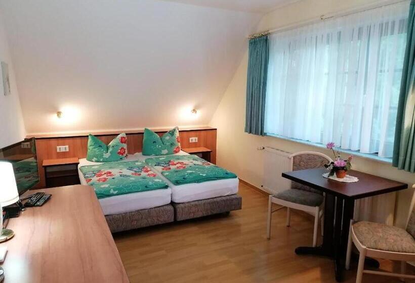 Номер Стандарт, Pension Schwalbennest