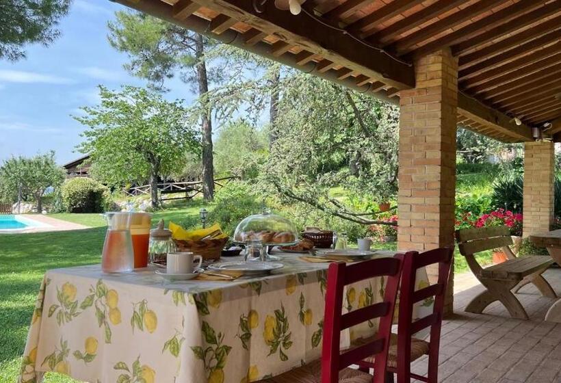 اتاق لوکس, B&b La Foresteria